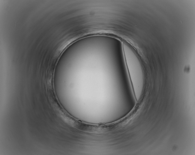 X0000091551273200708171034