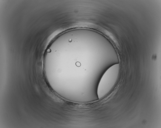 X0000091551275200708171034
