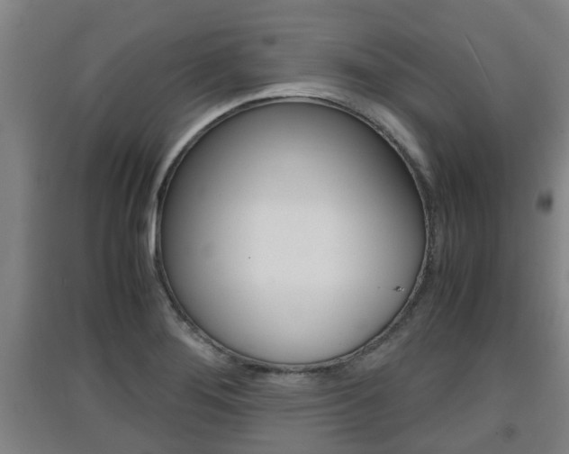 X0000091551276200708171034
