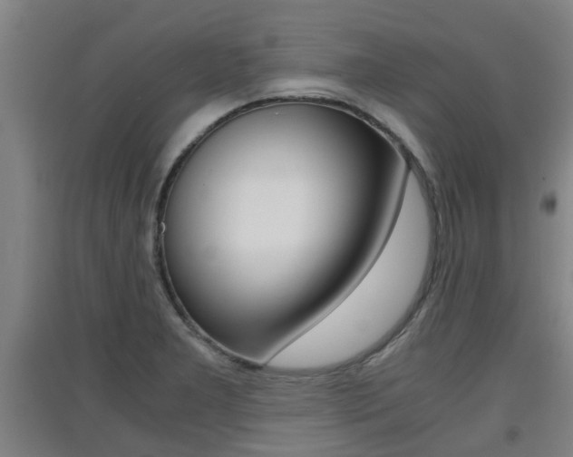 X0000091551277200708171034