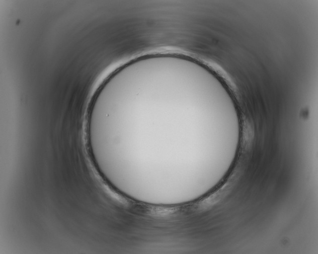 X0000091551278200708171034