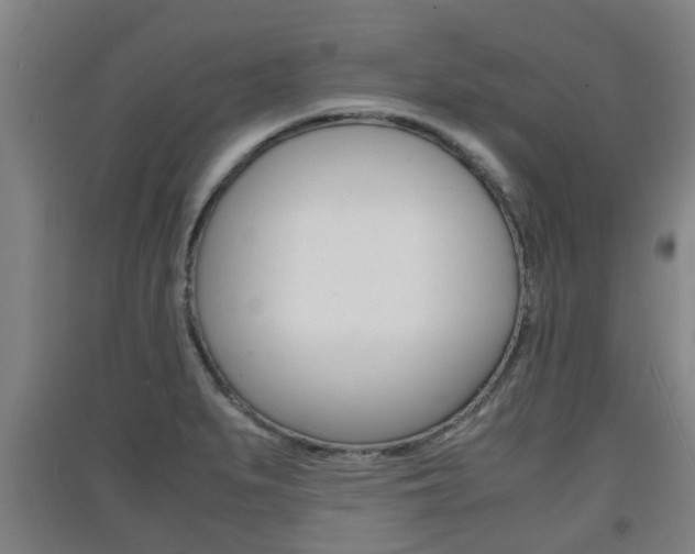 X0000091551279200708171034