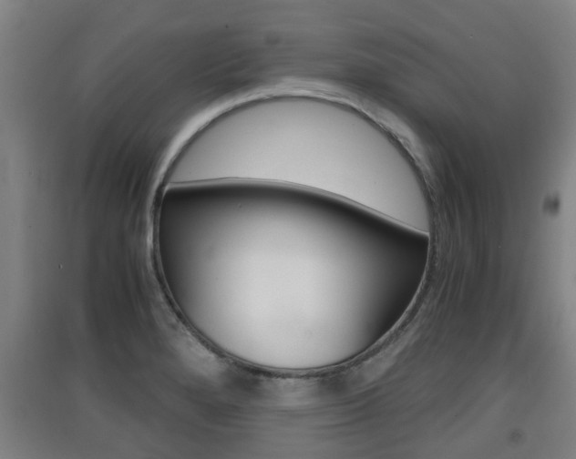 X0000091551280200708171034