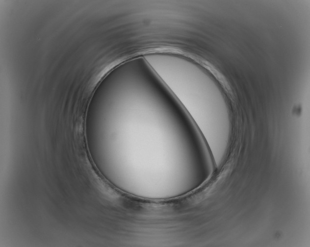 X0000091551281200708171034