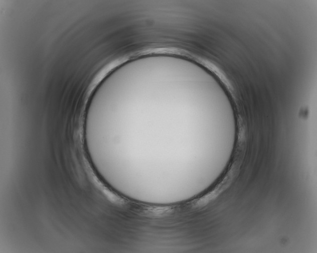 X0000091551282200708171034