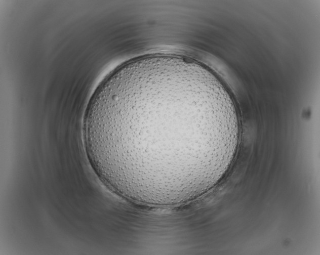 X0000091551283200708171034