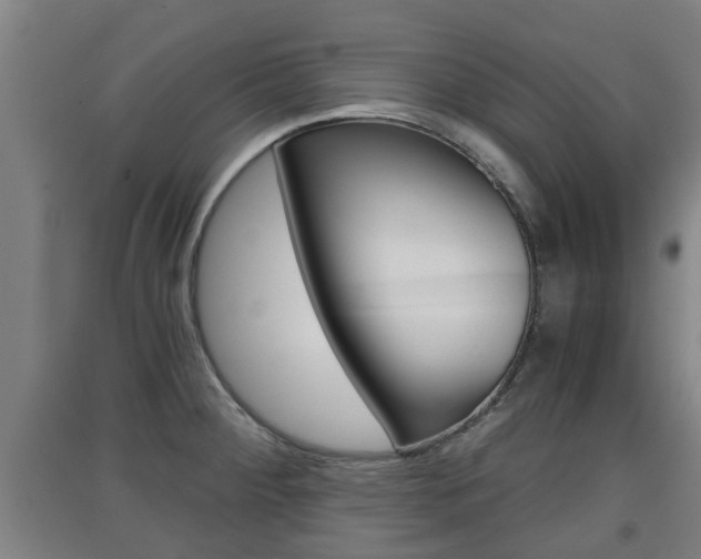X0000091551284200708171034