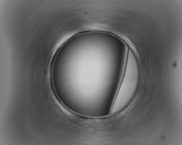 X0000091551285200708171034