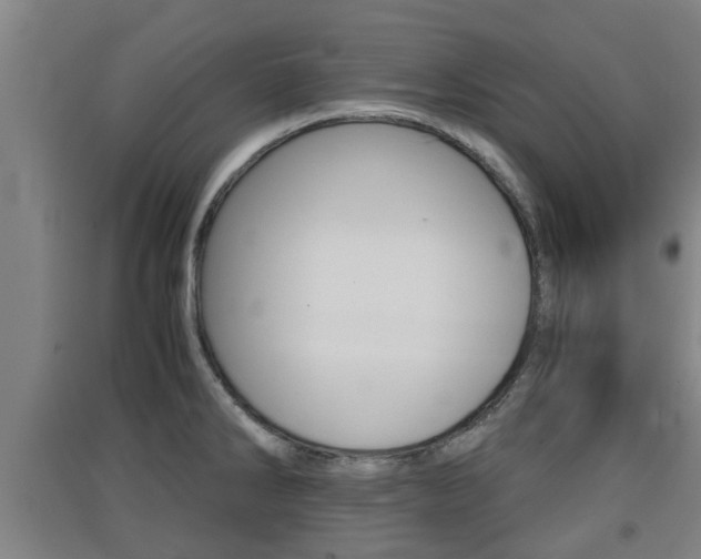 X0000091551286200708171034