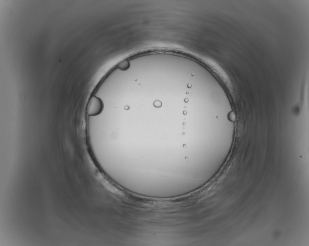 X0000091551287200708171034