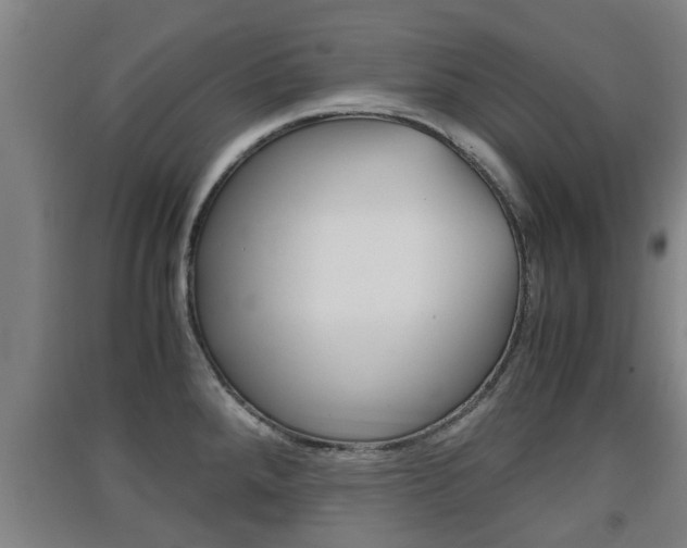 X0000091551288200708171034