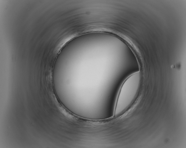 X0000091551289200708171034