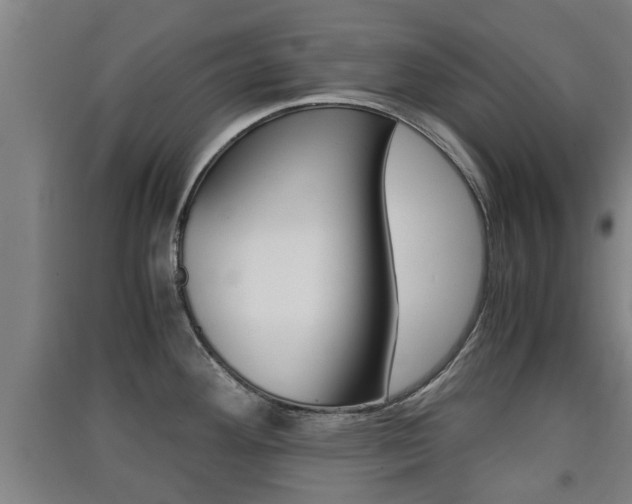 X0000091551292200708171034