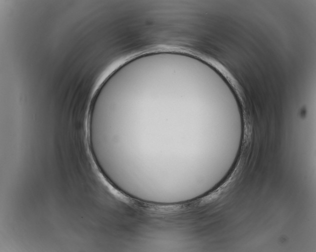 X0000091551294200708171033