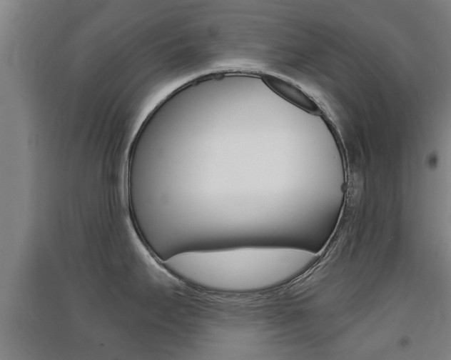 X0000091551295200708171033
