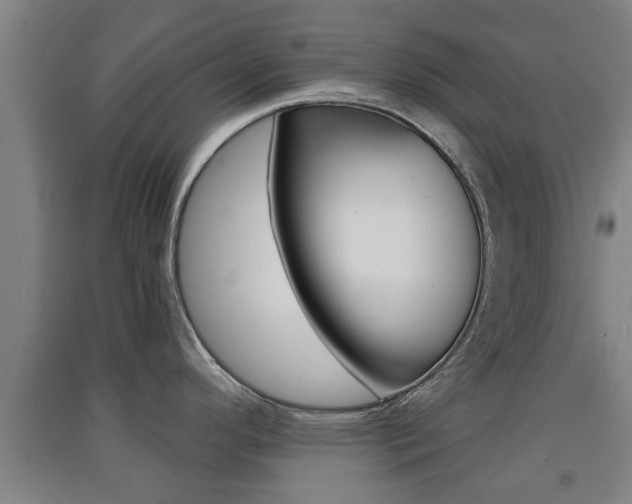 X0000091551296200708171033