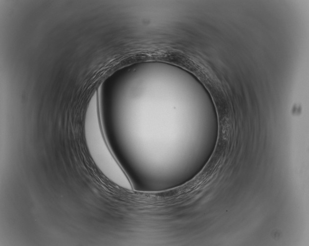 X0000091551298200708171033