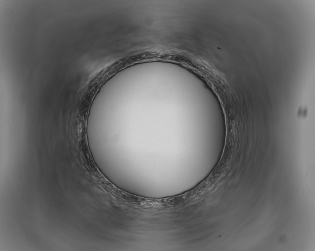 X0000091551302200708171033