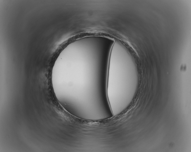 X0000091551304200708171033