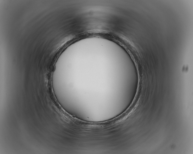 X0000091551305200708171033