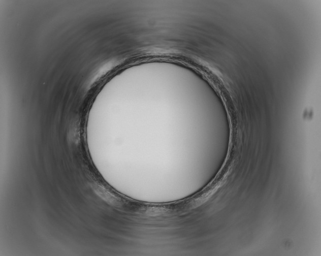 X0000091551306200708171033