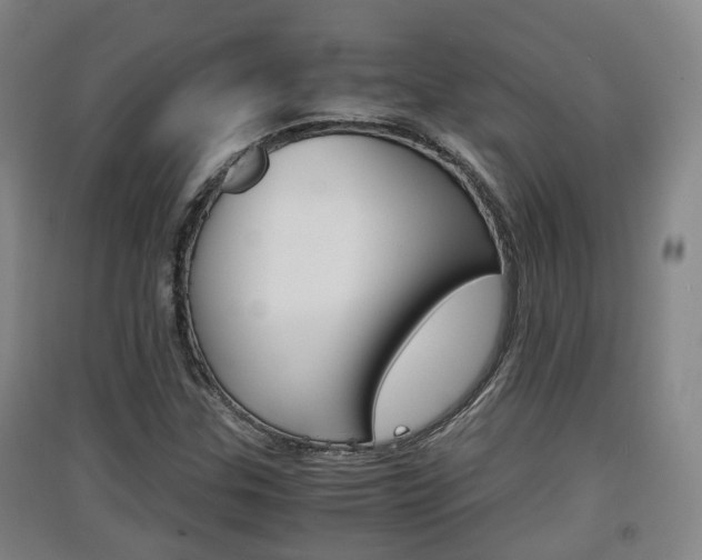 X0000091551307200708171033