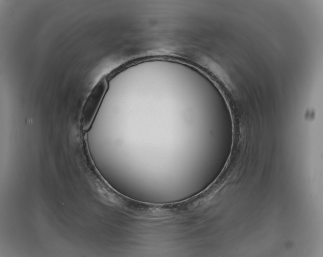 X0000091551308200708171033