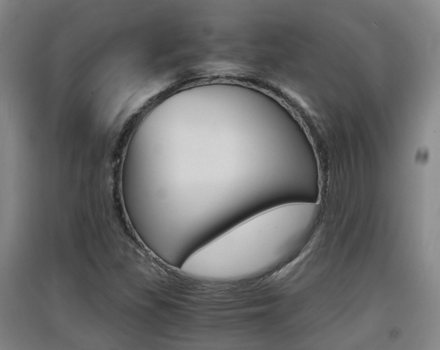 X0000091551309200708171033