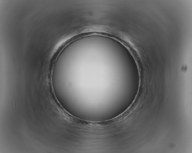 X0000091551312200708171033