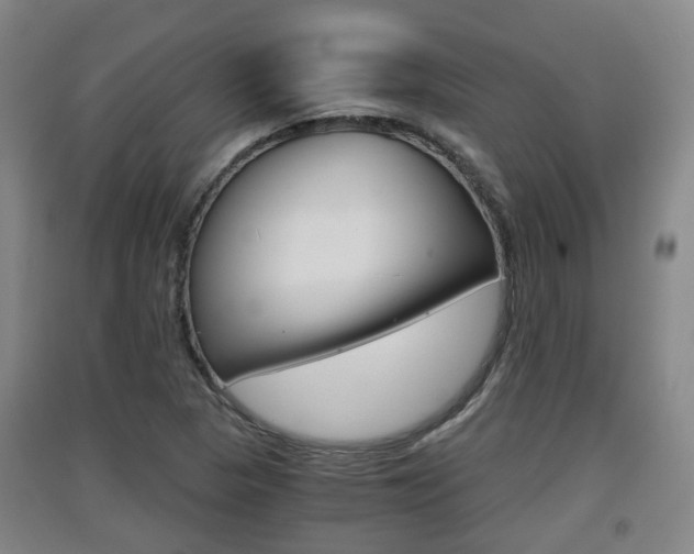 X0000091551313200708171033