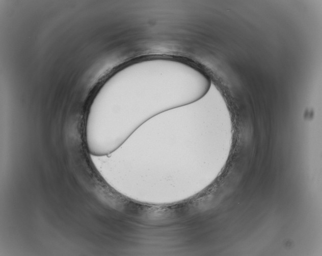 X0000091551314200708171033