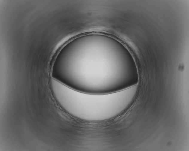 X0000091551316200708171033