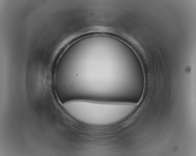 X0000091551318200708171033