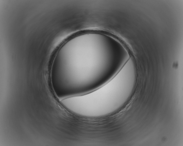X0000091551319200708171033