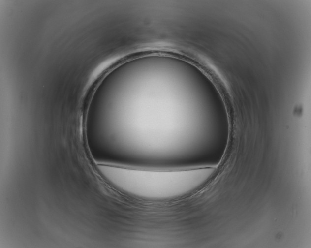 X0000091551320200708171033