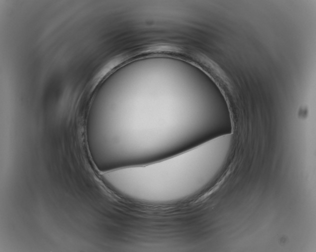 X0000091551321200708171033