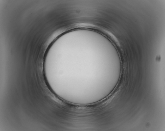 X0000091551322200708171033