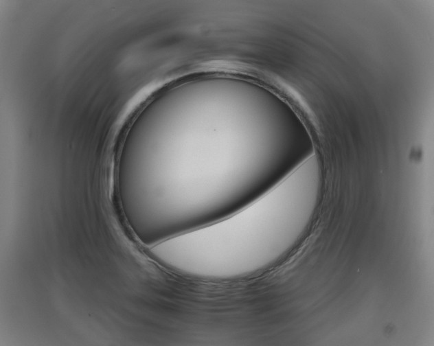 X0000091551323200708171033