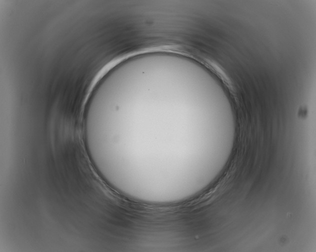X0000091551324200708171033