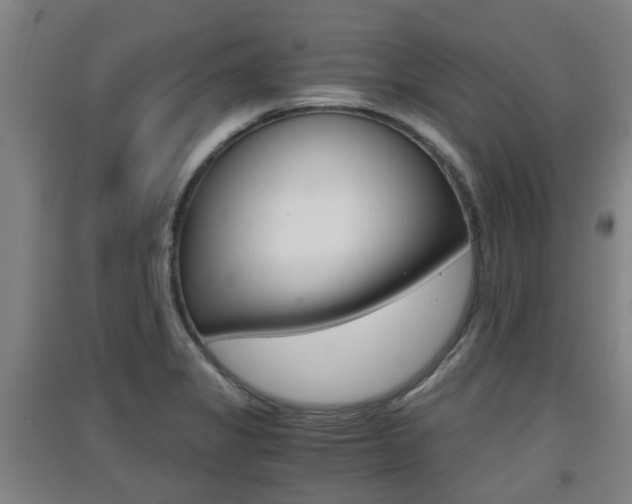 X0000091551325200708171033