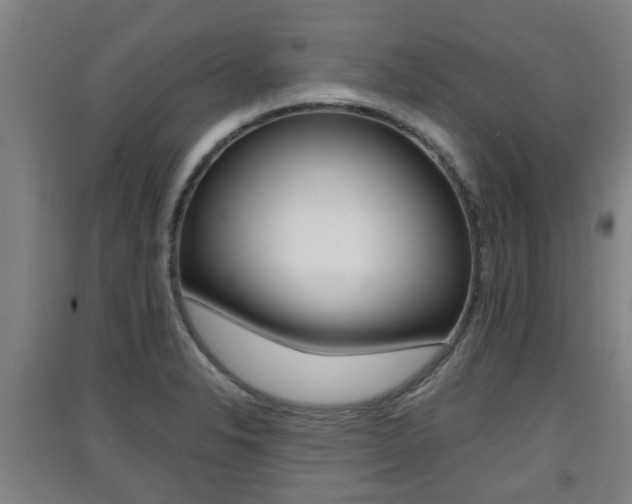X0000091551326200708171033