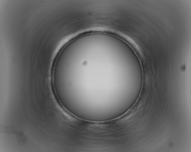 X0000091551327200708171033
