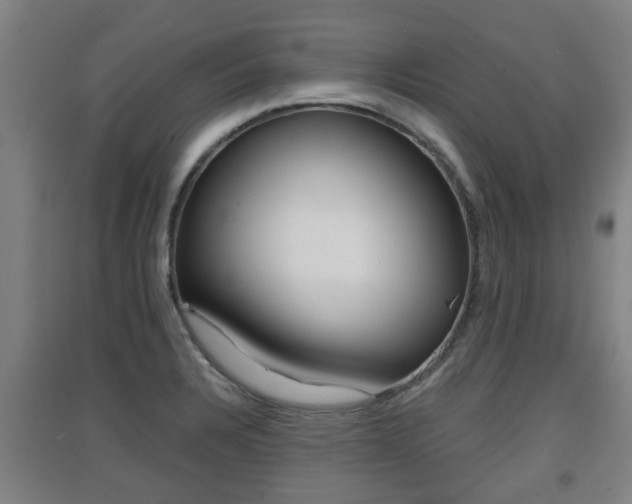 X0000091551328200708171033
