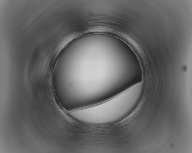 X0000091551329200708171033