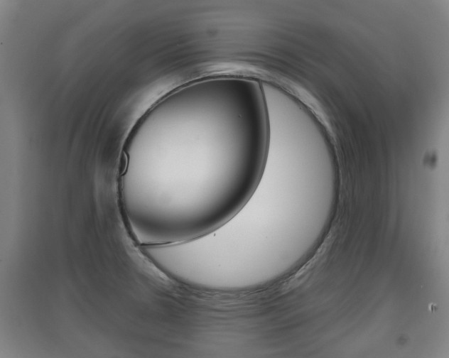 X0000091551330200708171033