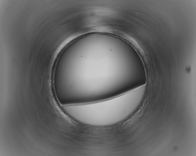 X0000091551331200708171033