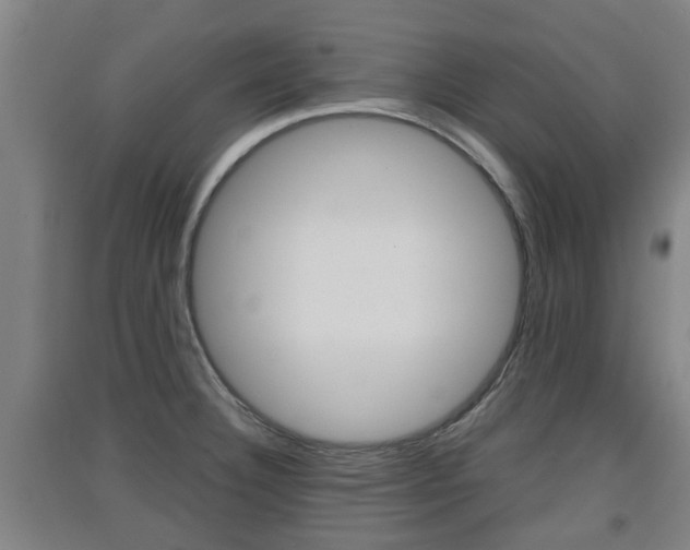 X0000091551332200708171033