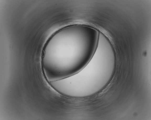 X0000091551334200708171033