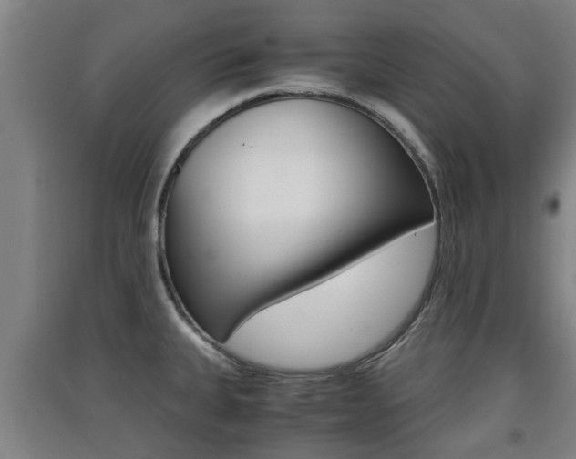 X0000091551335200708171033