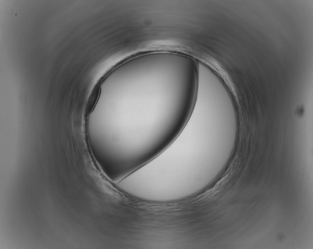 X0000091551336200708171033